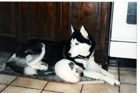 Brenda et Bidoune notre premier lapin
