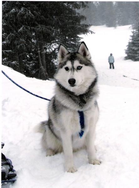 Déci au ski